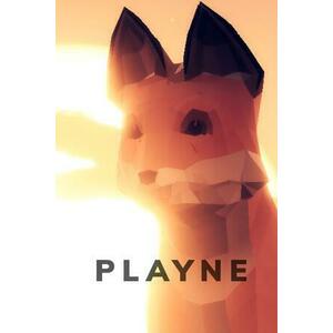 PLAYNE The Meditation Game (PC) kép