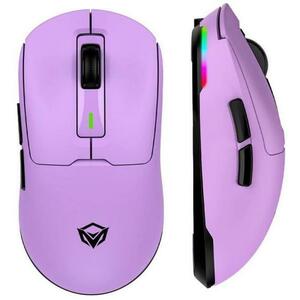 GW24 Purple (GW24PURPLE) kép
