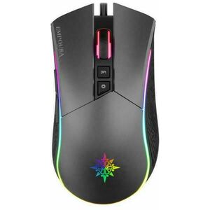 IMG-GT19 kép