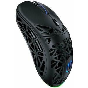Liv Plus Black EY6A016 kép