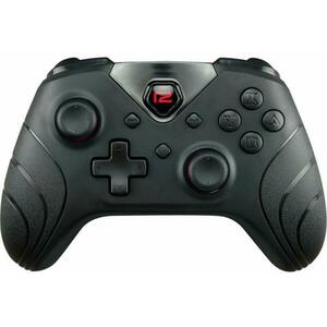 Switch Pro Pad X (R2GNSWPROPADX) kép