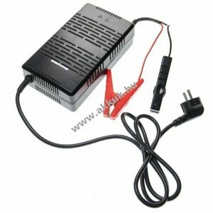 Univerzális töltő 30A 12, 8V LiFePO4 akkukhoz kép