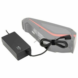 Eredeti Panasonic gyorstöltő NKJ060A Vollblut rendszerű akkukhoz 54.6V, 2A kép