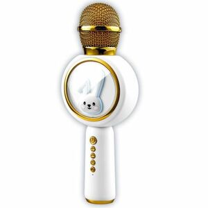 Bluetooth karaoke mikrofon kép