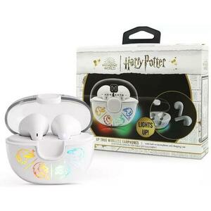 Harry Potter Potter (HF101107) kép