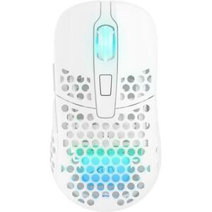 M42 RGB WL White (M42W-RGB-WHITE) kép
