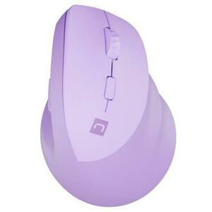 Crake 2 (NMY-2258) kép