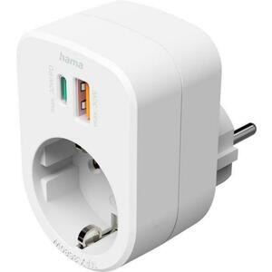 1 Plug + 2 USB (223343) kép