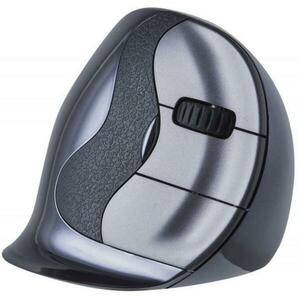 D Large (BNEEVRDLW) kép