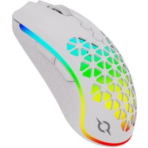 Polaris White (AQRYS_POLARISWH) kép