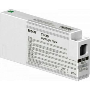 Epson T54X900 Eredeti Tintapatron Világos világos fekete kép