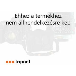 Leica 100-400mm f/4.0-6.3 O.I.S. (H-RSA100400E) kép