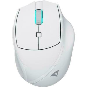 OfficePal M25W White kép