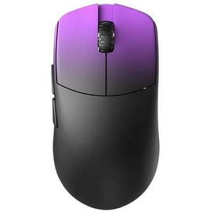 MAYA CHAMPIONS PURLPE SHADOW kép