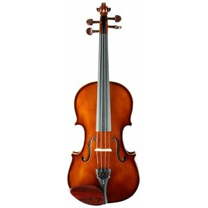 Stentor Student I 4/4 Vln Set kép