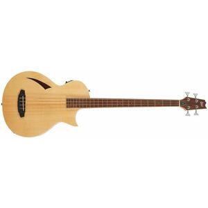 ESP LTD TL-4 NAT kép