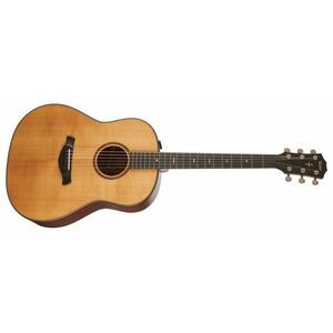 Taylor Builders Edition 517e kép