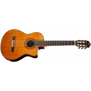 Tanglewood EM DC 5 kép