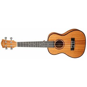 Cascha HH 2035L kép