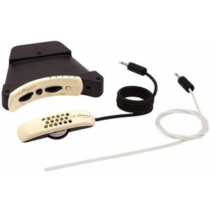 L.R. Baggs Anthem kép