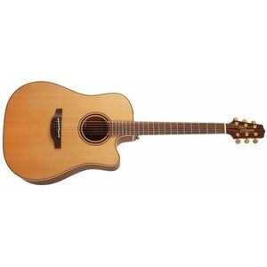 Takamine P3DC kép