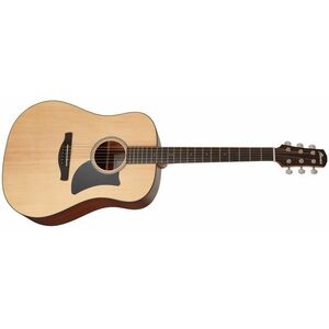 Ibanez AAD50 Natural kép