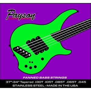 Payson Fanned SS 5 kép