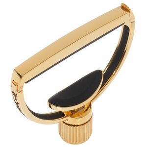 G7th Heritage 2 Guitar Wide Gold kép