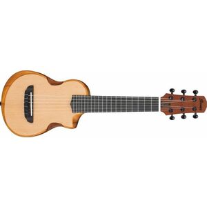 Ibanez AUP10N Natural kép