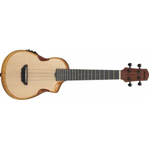 Ibanez AUC10E Natural kép