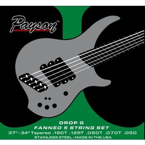 Payson Fanned SS 5 Drop G kép