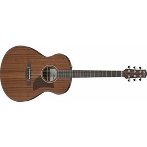 Ibanez AAM54 Natural kép