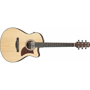 Ibanez AAM50CE Natural kép