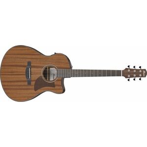 Ibanez AAM54CE Natural kép