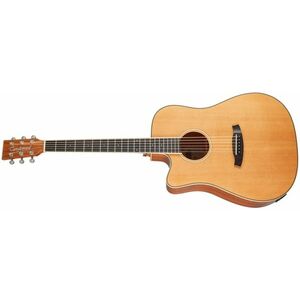 Tanglewood TW5 CE NA LH kép