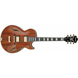 Ibanez AG95K Natural kép