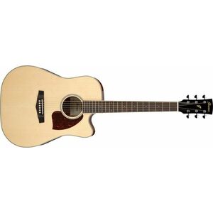 Ibanez PF16WCE Natural kép