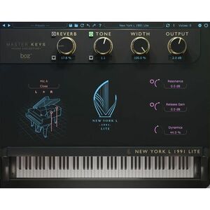 BOZ Digital New York L 1991 Lite kép