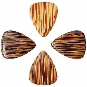 Timber Tones Coconut Palm 4-Pack kép