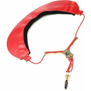 BG France S79Y MSH kép