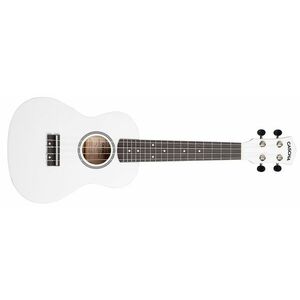 Cascha CUC106 Concert Linden White kép