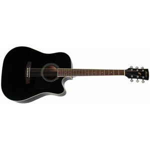 Ibanez PF15ECE Black kép