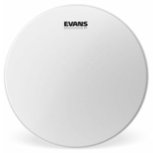 Evans 14" ST Coated kép