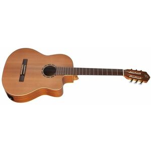 Ortega RCE131SN kép