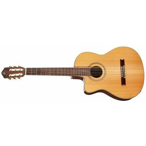 Ortega RCE159MN-L kép