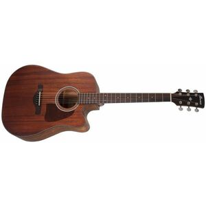 Ibanez AW54CE Natural kép