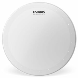 Evans 14" Genera DRY Coated kép