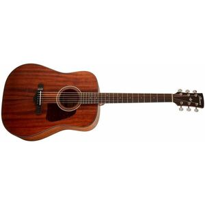 Ibanez AW54 Natural kép