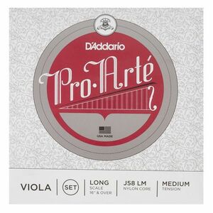 D'Addario Pro-Arte vla 4/4 M kép
