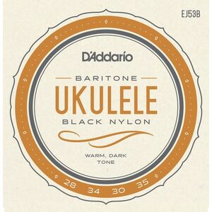 D'Addario EJ53B kép